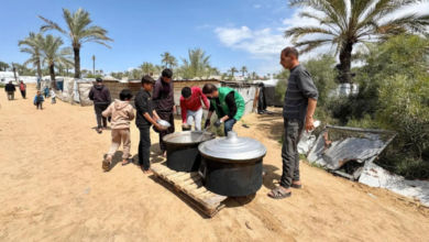 جهود مركز الملك سلمان للإغاثة: توزيع 29 ألف وجبة بغزة