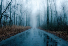 حالة الطقس في الرياض والشرقية: أمطار وضباب كثيف