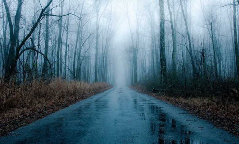 حالة الطقس في الرياض والشرقية: أمطار وضباب كثيف