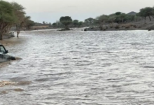 مخالفة عبور الأودية: ضبط شاحنة بعسير وغرامة 10 آلاف