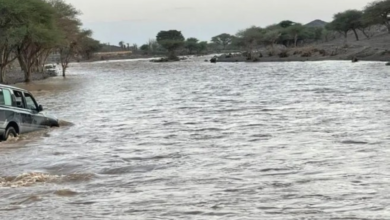 مخالفة عبور الأودية: ضبط شاحنة بعسير وغرامة 10 آلاف