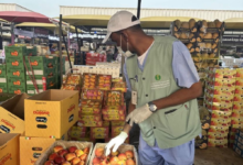 ضبط 1000 كجم من اللحوم الفاسدة في مكة المكرمة | جهود الرقابة