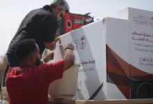 إطلاق أول برنامج لإعادة توطين أسماك المياه العذبة بالسعودية