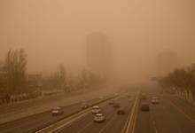 انخفاض العواصف الرملية بالسعودية 29%: إنجاز بيئي تاريخي