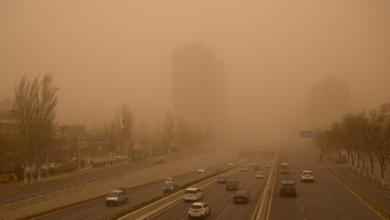 انخفاض العواصف الرملية بالسعودية 29%: إنجاز بيئي تاريخي