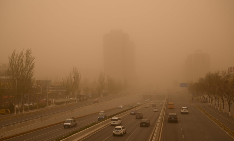 انخفاض العواصف الرملية بالسعودية 29%: إنجاز بيئي تاريخي