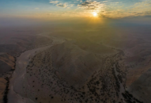 المركز الوطني لتنمية الغطاء النباتي: عقود لتطوير 3 متنزهات