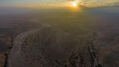 المركز الوطني لتنمية الغطاء النباتي: عقود لتطوير 3 متنزهات