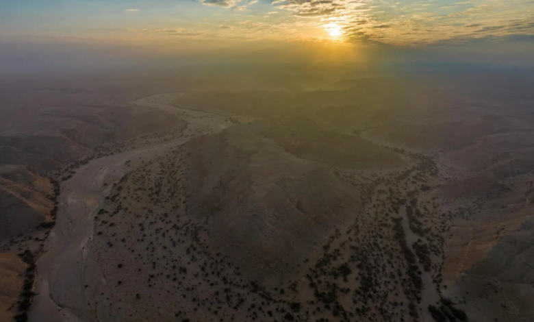 المركز الوطني لتنمية الغطاء النباتي: عقود لتطوير 3 متنزهات