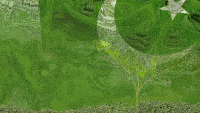 منحة سعودية لدعم مبادرة باكستان الخضراء والأمن الغذائي