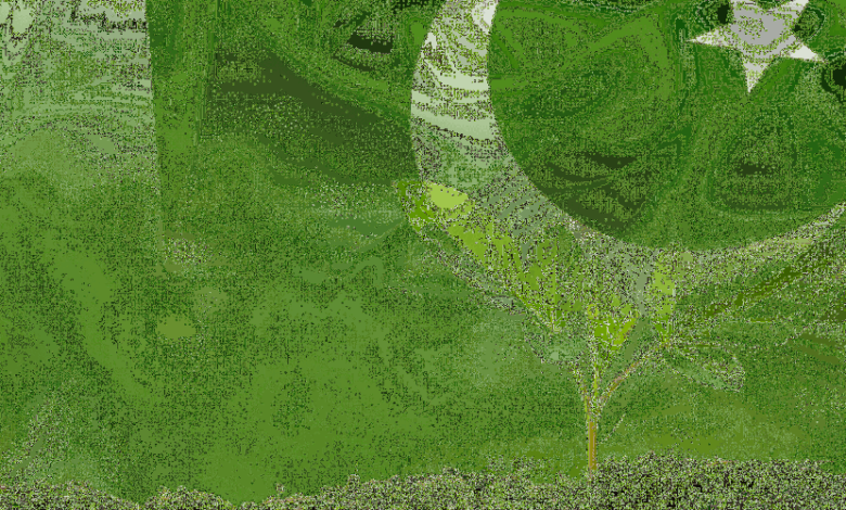 منحة سعودية لدعم مبادرة باكستان الخضراء والأمن الغذائي