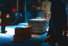 جمرك ميناء جدة يحبط تهريب 29 كجم من الكوكايين بنجاح