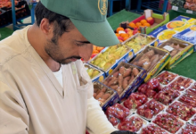 القصيم: 1390 جولة رقابية لبلدية عقلة الصقور بالربع الأول