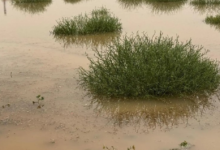 أمطار غزيرة على رفحاء وزخات برد: حالة الطقس بالسعودية