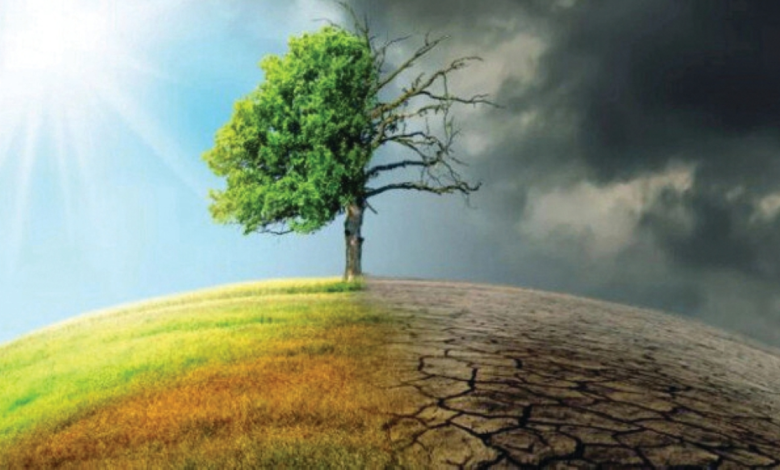 موجات الحر تهدد الأمن الغذائي العالمي وانهيار الزراعة | تحذير أممي