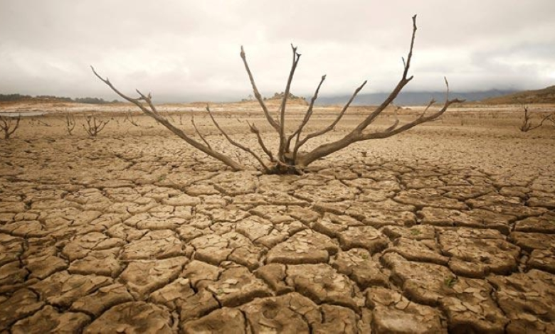 الجفاف يضرب أوروبا 2024: أزمة تهدد 156 ألف كم²