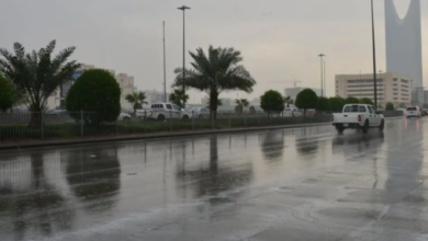 أمطار الرياض: تنبيه متقدم من الأرصاد وتحذيرات الدفاع المدني