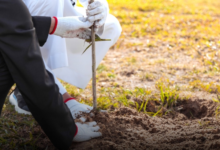 مبادرة السلامة المرورية في الأحساء بمشاركة 250 طالبًا