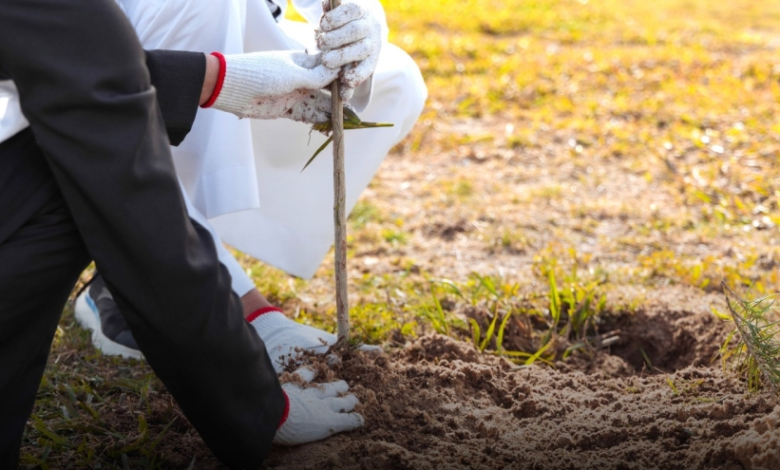 مبادرة السلامة المرورية في الأحساء بمشاركة 250 طالبًا