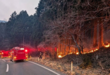 حرائق غابات اليابان: إجلاء الآلاف والنيران تلتهم 700 هكتار