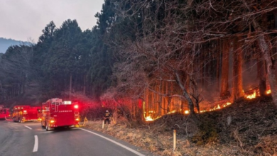 حرائق غابات اليابان: إجلاء الآلاف والنيران تلتهم 700 هكتار
