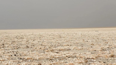 أمطار غزيرة وبرد يغطي طريف: تحذيرات الأرصاد وتأثيرات الطقس