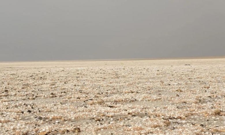 أمطار غزيرة وبرد يغطي طريف: تحذيرات الأرصاد وتأثيرات الطقس