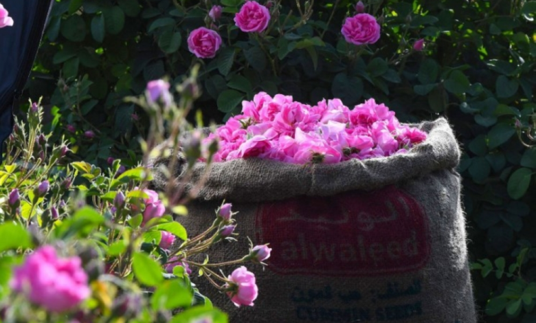 ملتقى ورد الطائف: نجاح كبير وإقبال تاريخي للزوار والمشاركين