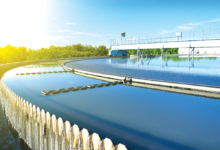 الناتج الزراعي السعودي يقفز إلى 118 مليار ريال ضمن رؤية 2030