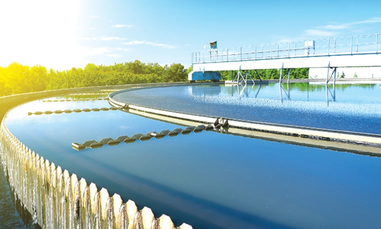 الناتج الزراعي السعودي يقفز إلى 118 مليار ريال ضمن رؤية 2030