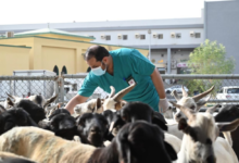 خطة وزارة البيئة لموسم الحج 1445: 8 مشاريع لخدمة الحجاج