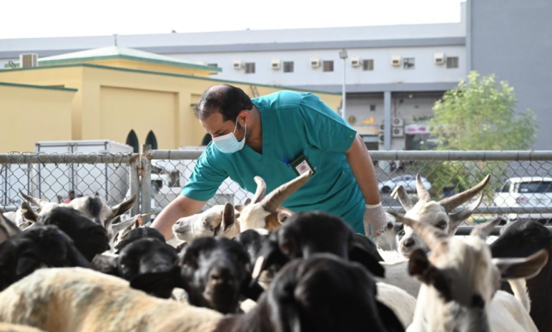 خطة وزارة البيئة لموسم الحج 1445: 8 مشاريع لخدمة الحجاج