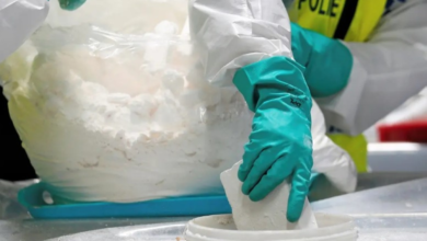 سريلانكا: ضبط أكبر شحنة من مخدر كوش في مطار كولومبو الدولي