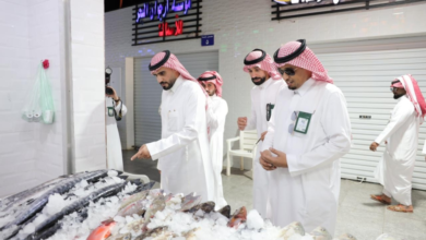 البيئة تسرع مشاريع الأمن الغذائي والتنمية في محافظات مكة