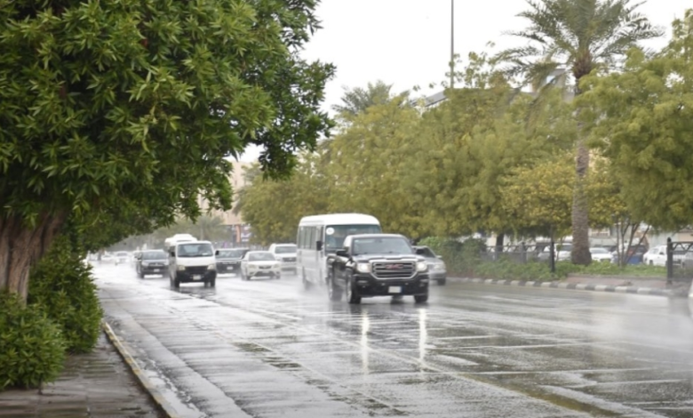 أمطار الباحة وبدر الجنوب: الأرصاد تحذر من سيول ورياح شديدة