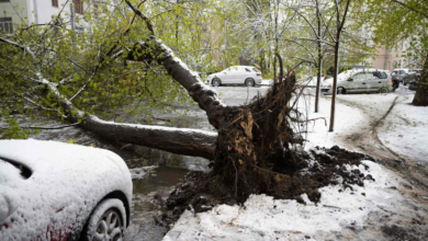 عاصفة ثلجية قوية تضرب موسكو وتشل حركة الطيران