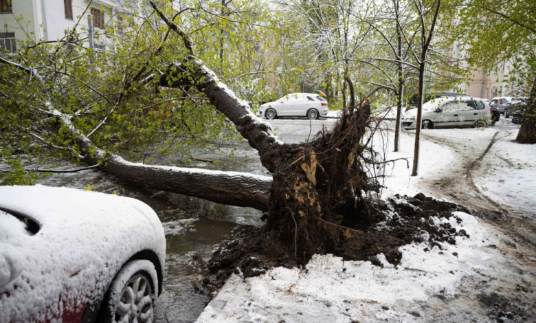 عاصفة ثلجية قوية تضرب موسكو وتشل حركة الطيران