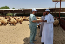 السعودية خالية من 4 أمراض حيوانية بشهادة عالمية | تعزيز الأمن الغذائي