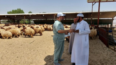 السعودية خالية من 4 أمراض حيوانية بشهادة عالمية | تعزيز الأمن الغذائي