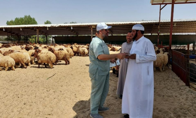 السعودية خالية من 4 أمراض حيوانية بشهادة عالمية | تعزيز الأمن الغذائي