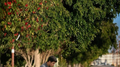 تدشين مكتب التشجير في نجران لدعم مبادرة السعودية الخضراء