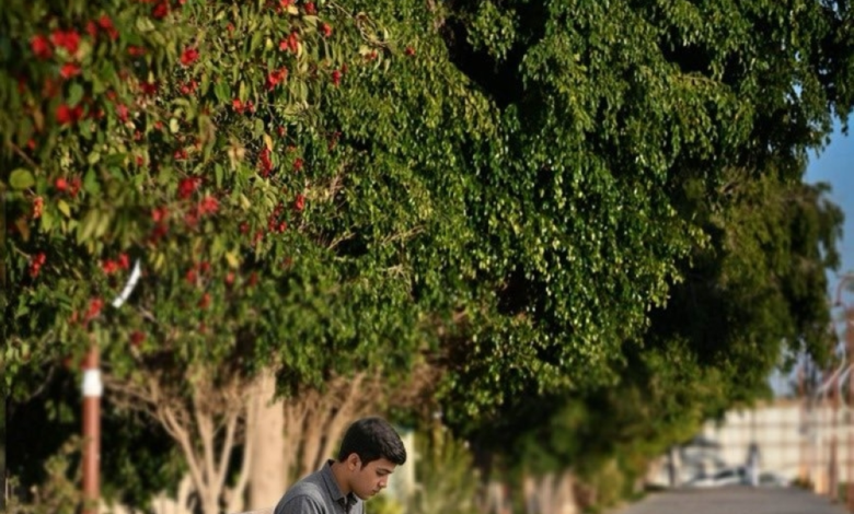 تدشين مكتب التشجير في نجران لدعم مبادرة السعودية الخضراء