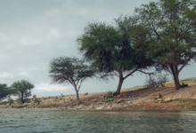 الدفاع المدني السعودي يحذر من سيول وأمطار رعدية في عدة مناطق