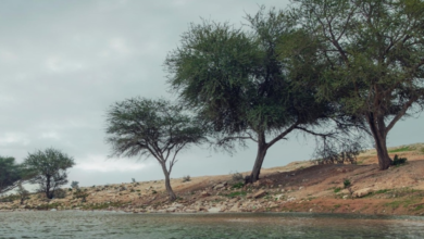 الدفاع المدني السعودي يحذر من سيول وأمطار رعدية في عدة مناطق