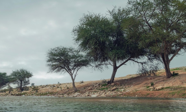 الدفاع المدني السعودي يحذر من سيول وأمطار رعدية في عدة مناطق