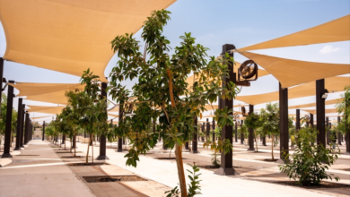 زراعة 60 ألف شجرة في المشاعر المقدسة لدعم الاستدامة البيئية