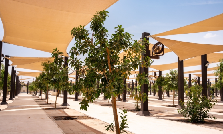 زراعة 60 ألف شجرة في المشاعر المقدسة لدعم الاستدامة البيئية