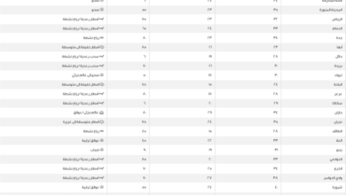 طقس السعودية: تباين درجات الحرارة وشرورة تسجل 40 مئوية