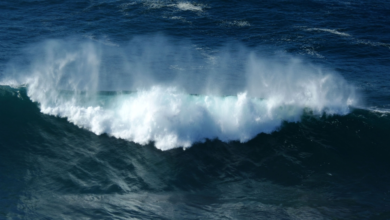 حالة الطقس في السعودية: أمطار رعدية وسيول محتملة في 11 منطقة