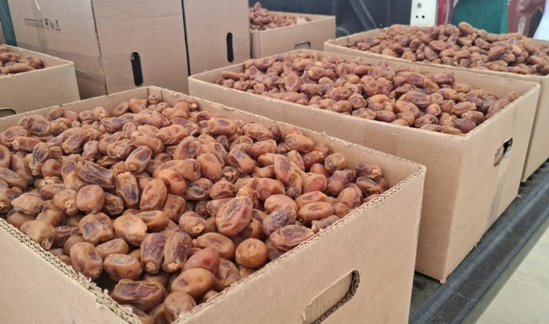 نمو صادرات التمور السعودية للدنمارك 33% في 2025